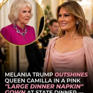 Melania Trump Wears Elegant Pale Pink Dress at White House State Dinner