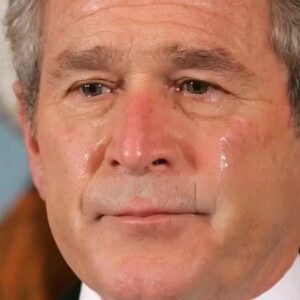 30 Minutes ago in Texas, George W. Bush was confirmed as…See more