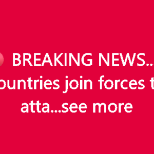 BREAKING NEWS… 4 countries join forces to atta…see more