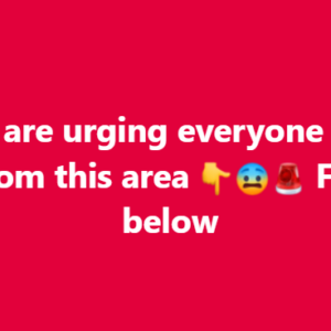 Police Urged Everyone to Stay Away From Restalrig Avenue After a Sudden Late-Night Disturbance Left an Entire Edinburgh Street Cordoned Off, Residents Terrified, and Investigators Searching for Answers in a Case That Quickly Became More Complicated Than Anyone Expected