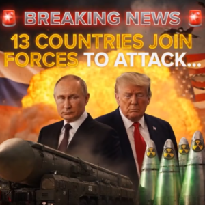 13 countries join forces to attac…see more