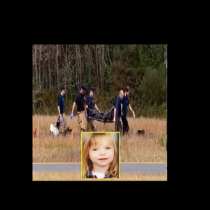 Missing girl found in the woods, her father was the one who…See more