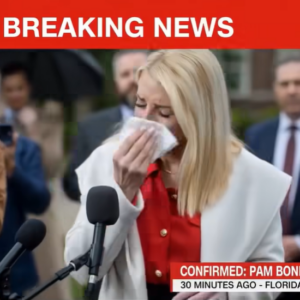 30 Minutes ago in Florida, Pam Bondi was confirmed as…See more