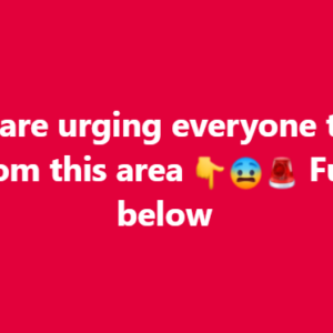 Police Urged Everyone to Stay Away From Restalrig Avenue After a Sudden Late-Night Disturbance Left an Entire Edinburgh Street Cordoned Off, Residents Terrified, and Investigators Searching for Answers in a Case That Quickly Became More Complicated Than Anyone Expected