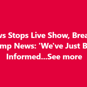 ABC Anchor Admits Truth As Trump’s DC Crackdown Yields Big Results