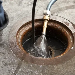 An Ordinary Pipe Blockage Revealed Something No One Expected