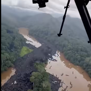 OMG Unbelievable footage from the Am