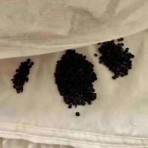 What I Found Under My Mattress Taught Me an Important Life Lesson
