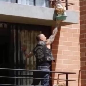 I Called the Cops on a Biker — What He Was Feeding Surprised Me