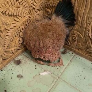 We Returned From Vacation and Discovered an Unexpected Surprise in Our Bathroom