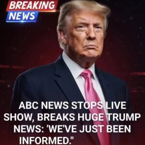 👇⬇️ABC Anchor Admits Truth As Trump’s DC Crackdown Yields Big Results