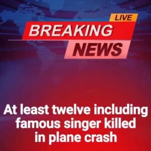 Twelve dead including famous singer in pla