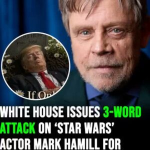 Luke Skywalker Under Fire White House Condemns Star Wars Legend Mark Hamill Over Outrageous Donald Trump Post