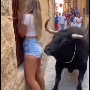 “Tourist Faces Bull — What Happens Next Will