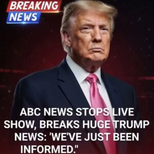👇⬇️ABC Anchor Admits Truth As Trump’s DC Crackdown Yields Big Results