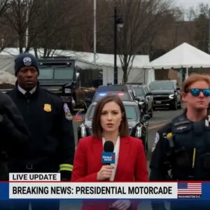 Public Attention Grows After Incident Near Protected Area in Washington