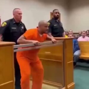 Man Attacks Judge After She Sentences Him to 456… see more