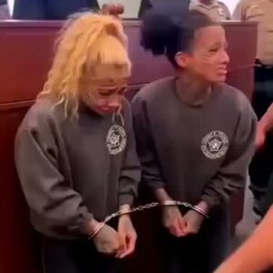 They Thought It Was Just Trouble… Until the Sentence Shocked an Entire Nation