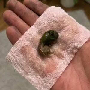 A Mysterious Discovery on Our Bathroom Floor Left Us Searching for Answers