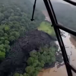 OMG Unbelievable footage from the Amazon…