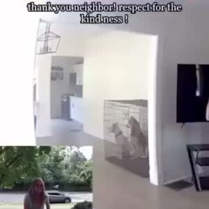 Young Girl Finds Safety After Seeking Help From Neighbors, Inspiring Community Support