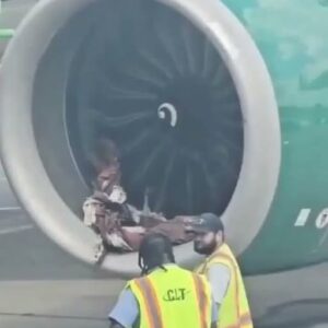 Charlotte Airport Experiences Delays Following Frontier Airlines Plane Incident