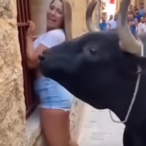 “Tourist Faces Bull — What Happens Next Will