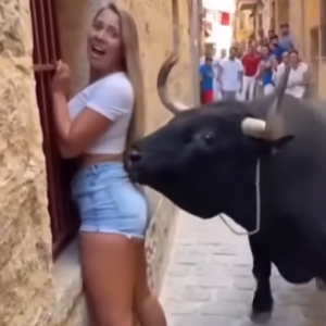 “Tourist Faces Bull — What Happens Next Will