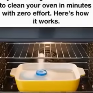 The Easy Oven-Cleaning Method Nana Swore By