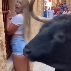 “Tourist Faces Bull — What Happens Next Will