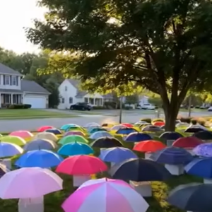 After My Son Shared His Umbrella, Our Family Received a Mysterious Gift