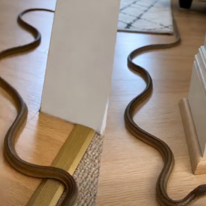What a Snake in Your Dream vs. a Snake in Your House May Symbolize