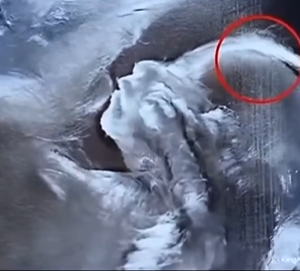 Doctors couldn’t believe what they saw during the ultrasound