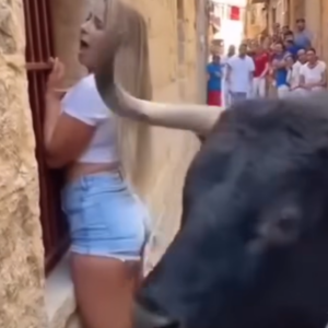 “Tourist Faces Bull — What Happens Next Will