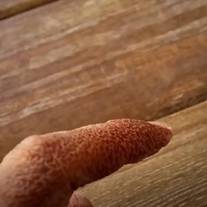 Alert: These Are the Warning Signs of Dangerous Creosote Buildup in Your Home