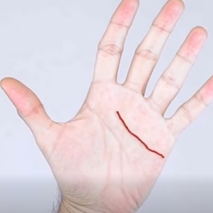 The Meaning of the Special Line Some People Have on Their Hands