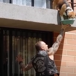 I Called the Cops on a Biker — What He Was Feeding Surprised Me