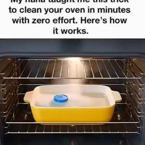 The Easy Oven-Cleaning Method Nana Swore By