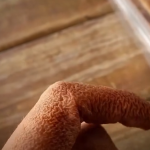 Alert: These Are the Warning Signs of Dangerous Creosote Buildup in Your Home
