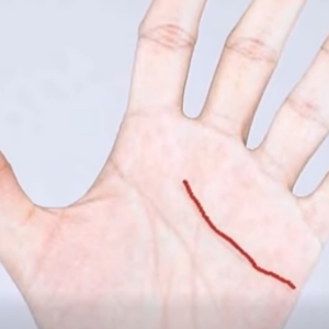 The Meaning of the Special Line Some People Have on Their Hands