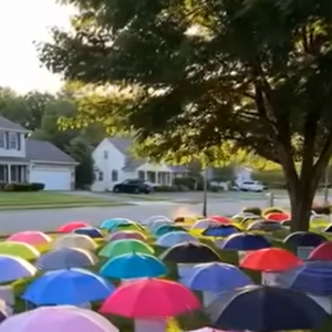After My Son Shared His Umbrella, Our Family Received a Mysterious Gift
