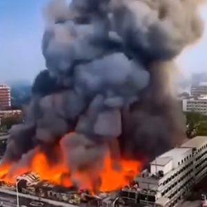 BREAKING NEWSJust hours ago, a tremendous fire broke out in…See more.