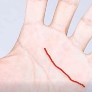 The Meaning of the Special Line Some People Have on Their Hands