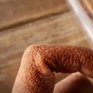 Alert: These Are the Warning Signs of Dangerous Creosote Buildup in Your Home
