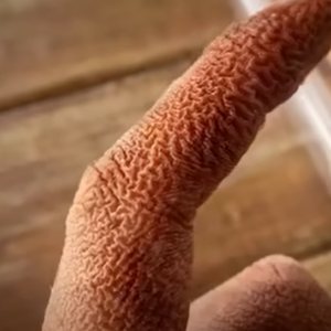 Alert: These Are the Warning Signs of Dangerous Creosote Buildup in Your Home