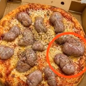 I ordered a pizza in the evening. The delivery driver brought it to me.