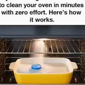 The Easy Oven-Cleaning Method Nana Swore By