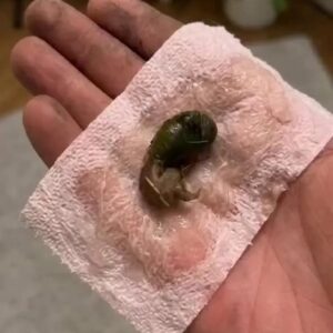 A Mysterious Discovery on Our Bathroom F