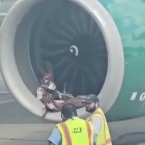 Charlotte Airport Experiences Delays Following Frontier Airlines Plane Incident
