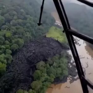 OMG Unbelievable footage from the Am